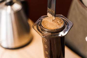 Aeropress Recipe A Simple Baseline for Clean, Balanced Coffee