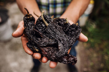 Ancho Chili Powder Guide Flavor, Substitutes, and How to Use It in Cooking