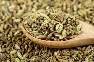 Everything You Need to Know About Fennel Seeds