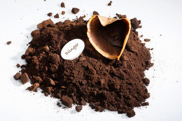 Used Coffee Grounds 12 Creative Ways to Repurpose Your Leftovers