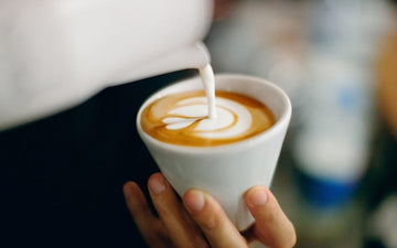 What Is an Electric Milk Frother and How to Choose One